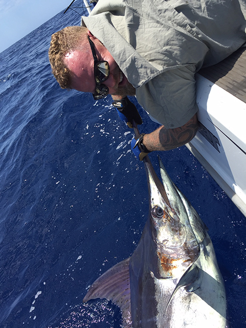ANGLER: Simon Carey SPECIES: Blue Marlin WEIGHT: Est. 130kg LURE: 13" Big Dingo.